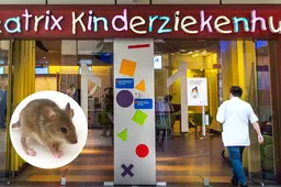 Muis gevangen in UMCG, maar patiëntjes mogen nog niet terug naar afdeling
