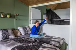 Slapen naast een Fries paard? Dat kan nu bij Henk en Jeldau in Sibrandabuorren: ‘It is booming’