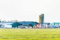 Vogelgriep geconstateerd op boerderij in Aalsum. Wat gebeurt er daarna? ‘Het is een geoliede machine’