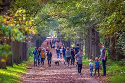 Provincie trekt 13 miljoen euro uit voor (voedsel)bossen en houtwallen