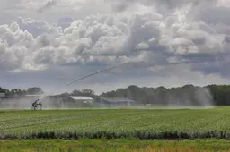 Nieuwe sierteelt wordt verboden in Súdwest-Fryslân, al is het er nu amper
