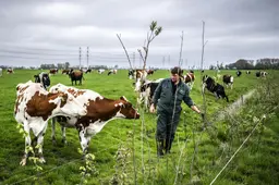 ‘Kleintje landbouwakkoord’ voor Noorden in de maak