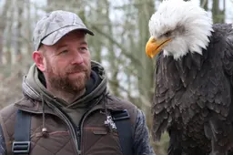 Valkenier Klaas (41) uit Westergeast vindt zijn vogels altijd weer terug