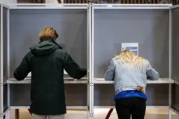 ‘Lokalen’ helpen gemeenten niet | opinie