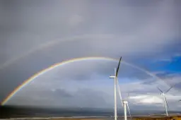 Weer blijft onvoorspelbaar: regen en zon wisselen elkaar af, maar lentegevoel keert terug