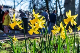 Lenteweer houdt aan: zonnige dag met temperaturen tot wel 17 graden
