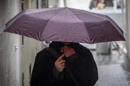 Zonnige ochtend gaat over in grijze middag met regenbuien