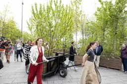 Na Bosk wilde iedereen meer bomen in Leeuwarden: lukt dat een beetje?