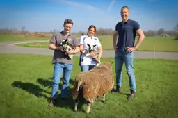 Groot worden door klein te blijven, geldt ook voor fusiepraktijk Dierenartsen Sevenwolden. ‘We hebben nu ruimte om uit te breiden’