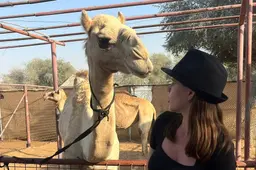 Jolanda (17) uit Easternijtsjerk is met moeder en zus in Dubai: ‘Wy seagen 3 raketten op ús hotel ôfkommen. Dat wie eng’