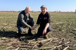 Eerste kievitsei gevonden: Auke Tuinstra doet opnieuw eerste vondst van Friesland