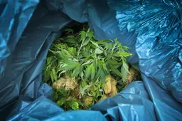 Werkstraf van 80 uur voor man (54) uit Franeker voor wietplantage in gierkelder