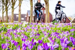Het weer deze week: mist en buien, maar ook zon en temperaturen tot wel 19 graden