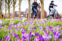 Zon zorgt weer voor heerlijke lentedag, maar let op: Saharazand komt onze kant op