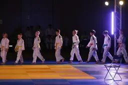 Meer deelnemers en meer show. Is het genoeg om het Friese judo weer populair te maken?