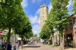 Terschelling kapt acuut zeven bomen in de winkelstraat
