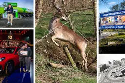 Jager Rutger (36) uit Oranjewoud bevrijdt damhert uit schrikdraad &amp; Diny (63) uit Sneek wint BMW na autopech | nieuws uit Friesland van 16 maart
