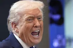 Dolle stier Trump gedijt in wereld die selectief met het recht omgaat | LC commentaar