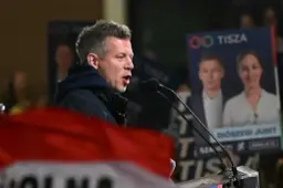 Hongaren in Friesland stemmen uit noodzaak op oppositieleider: ‘Alles beter dan Orbán’