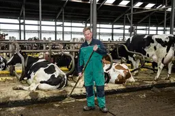 Negen boeren op Terschelling boeren willen een mestvergister. ‘Anders moeten we met de boot mest afvoeren’