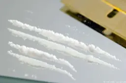 ‘Pittige strafeisen’ voor internationaal drugsnetwerk. ‘De drugshandel was hun way of life’