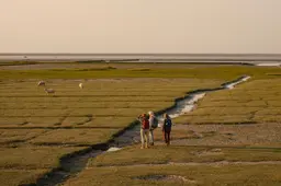 Vergeet de Camino, Friesland heeft een eigen pelgrimspad. ‘Je hoeft niet naar Spanje om tot jezelf te komen’