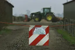 25 jaar geleden brak mond en klauwzeer uit bij een boerenbedrijf in Ie. Wat hebben we sindsdien geleerd?