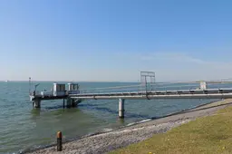 Bioplastic-eters in de Waddenzee hebben geen last van andere nanoplastics | WadWeten