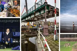 Snel handelen nodig voor herstel natuur in Waddenzee &amp; Henk de Jong sprak uitgebreid met opvolger bij SC Cambuur | nieuws uit Friesland van 9 april