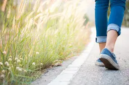 Plannen voor wandelroute op voormalige spoorlijn tussen Harlingen en Minnertsga