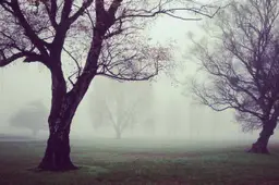 She was aware that things could go wrong.