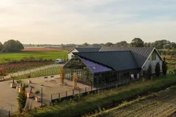 restaurant vinck