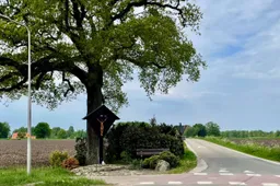 img 2025 05 02 133005
