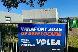 volea brugman