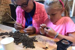 Uilenballen pluizen - Bernadette Koopmans
