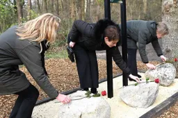 588494223_1281325484023065_4752232879147379397_n