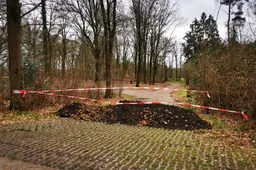 644558721_1339676454864662_141780503261782667_n