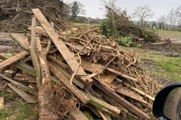 655709569_1348297503994052_3059003049852595063_n