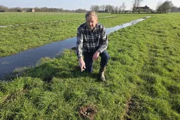 7d4b2476-5cff-452f-836f-ce68df8ff2f9