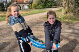 Foto van vorig jaar - potgrondactie