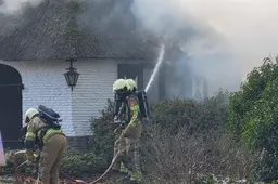 WhatsApp Image 2026-03-01 at 14.23.03