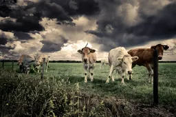 2020_26_juli_zonnenbergweg_P1140118-3