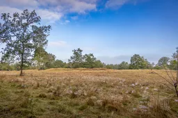 Dauwtrapwandeling - Dal van de Mosbeek Gonny Sleurink