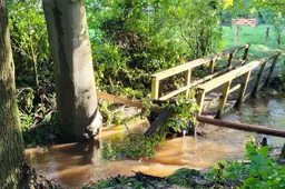 image4 (5)
