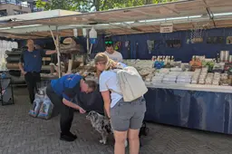 De Kleindier Specialist