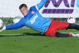 2014 belangrijk jaar voor Bednarek