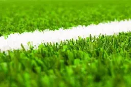 'Aanvoerders Eredivisie houden niet van kunstgras'