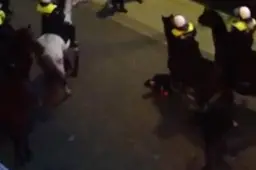 "Agressief tegen politie, maar nooit tegen paarden"