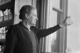 johanna westerdijk 0