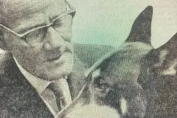 Kees de gashond